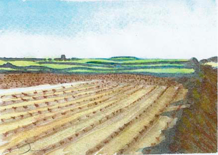 Camps de l'Urgell Aquarel·la 15 x 23 cm