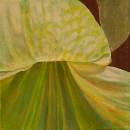 Flor Verda Acrílic sobre tela 30 x 30 cm