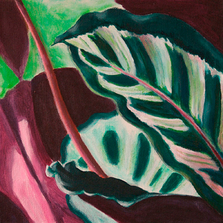 Maranta Acrílic sobre tela 30 x 30 cm